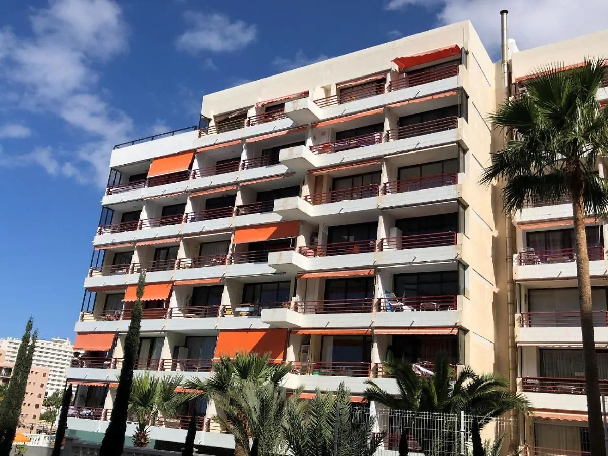 פלאייה דה לאס אמריקס 312 Olympia 1 Bedroom, Ocean View Wifi Free בית נופש פלאייה דה לאס אמריקס